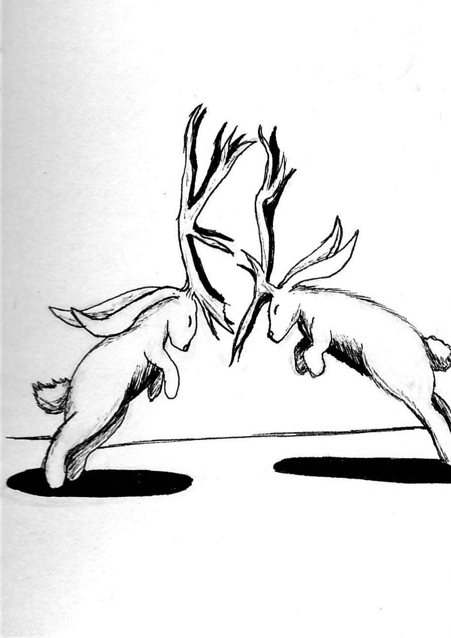 Jackalopes
